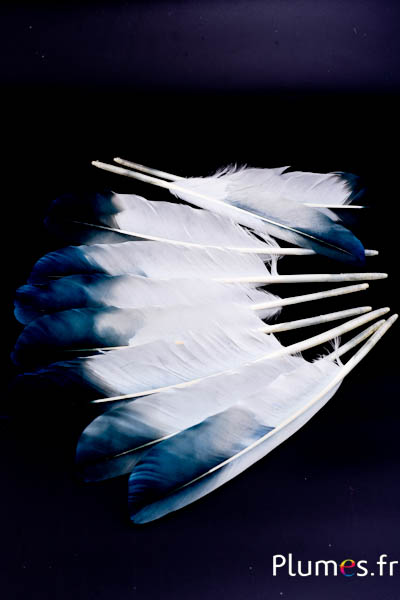 Cygne Soie - 31-35 cm - blanc cassé-noir